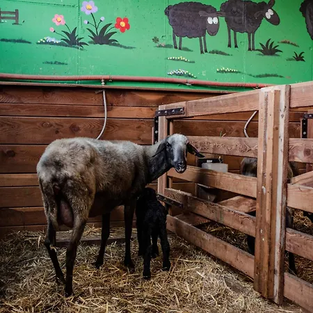 Beim Untertimmeltaler