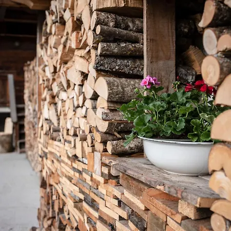 Apartment Beim Untertimmeltaler