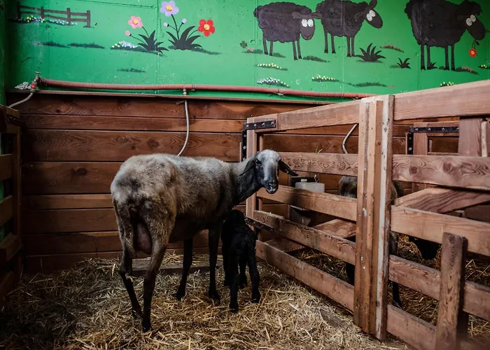 Beim Untertimmeltaler